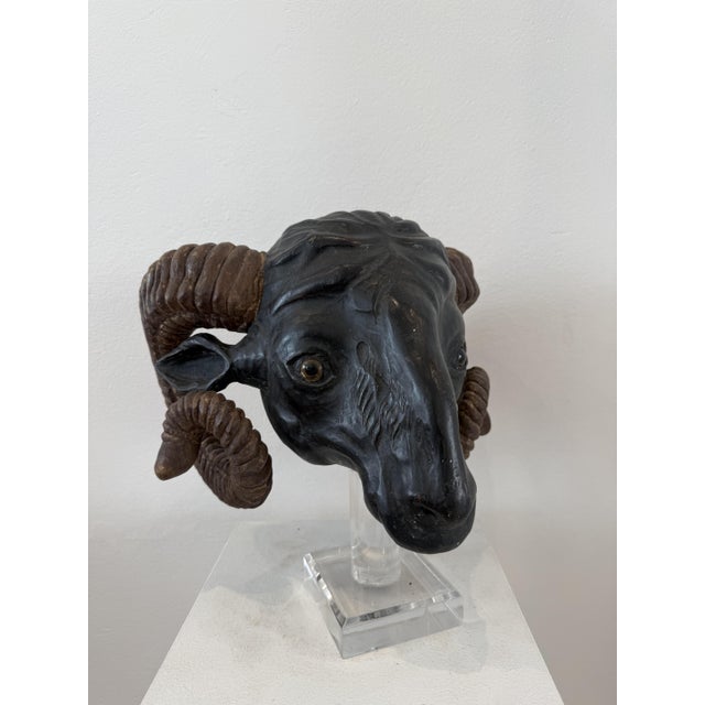 Northern European Artist, Ram's Head, 19th Century, Wood For Sale - Image 4 of 14