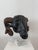 Northern European Artist, Ram's Head, 19th Century, Wood For Sale - Image 4 of 14
