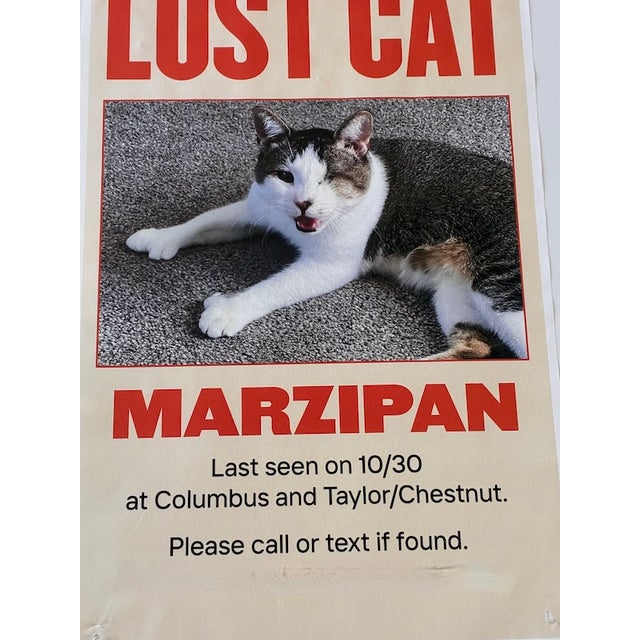 Red 21st Century "Lost Marzipan" Outsider Street Pop Art of San Francisco For Sale - Image 8 of 9