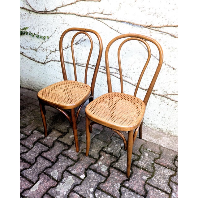 Cane and Bentwood Chairs, 1960s, Set of 2 For Sale - Image 3 of 8