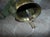 Industrial Vintage Brass Bell, 1950s-1970s For Sale - Image 3 of 6
