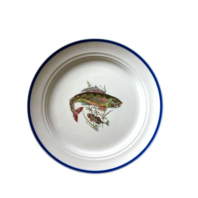 Blue Vintage Italian Ceramic Fish Plates & Platter – Hand-Painted Deruta, 1960s, Set of 11 For Sale - Image 8 of 12