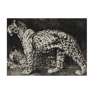 Big Cats 2, Unframed Artwork For Sale