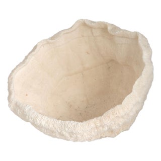 Large Natural Coral Bowl For Sale