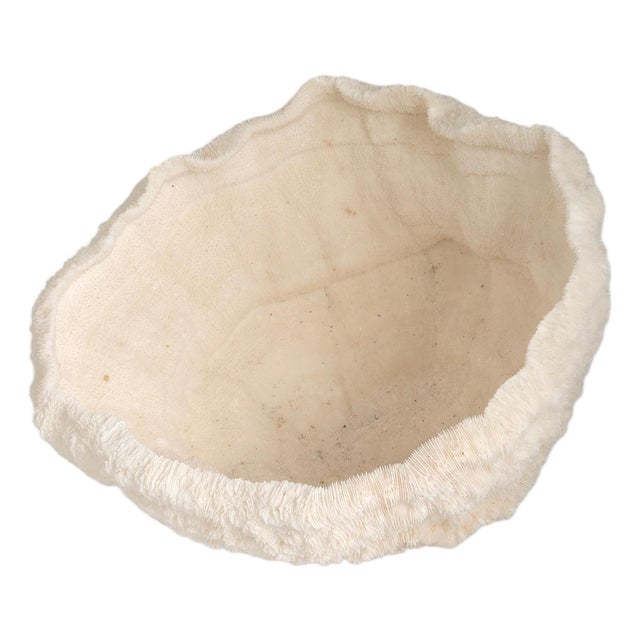 Large Natural Coral Bowl For Sale