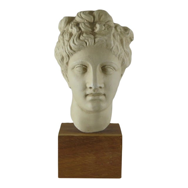 Greek 1960s Plaster Bust of Hygenia For Sale