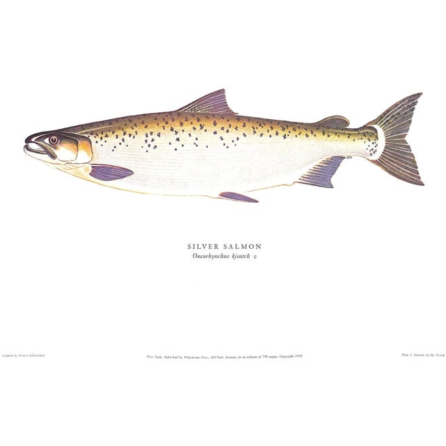 "Salmon of the World" 1970 Schwiebert, Ernest For Sale - Image 13 of 13
