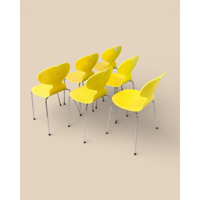 Model 3101 The Ant Chairs by Arne Jacobsen for Fritz Hansen, 1970s, Set of 6 For Sale - Image 6 of 9
