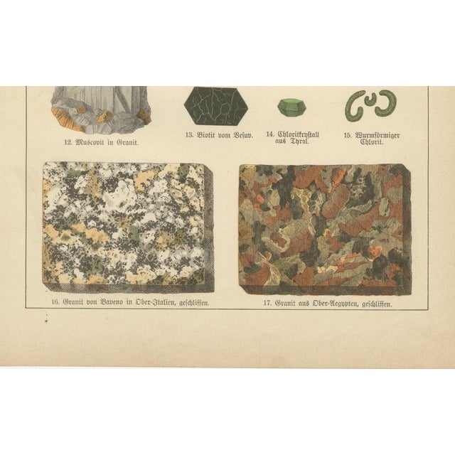 Paper Antique Mineralogy Chromolithographs of Granite, Calcite and Fossil, 1888, Set of 2 For Sale - Image 7 of 12