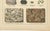 Paper Antique Mineralogy Chromolithographs of Granite, Calcite and Fossil, 1888, Set of 2 For Sale - Image 7 of 12