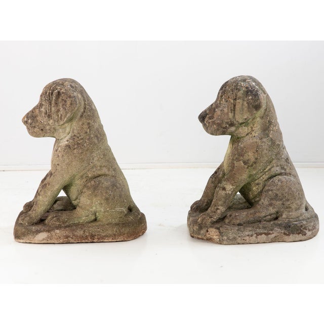 1960s Pair of Composite Stone Boxer Dog Garden Statues, England 1960s For Sale - Image 5 of 14