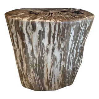 Andrianna Shamaris Ancient Petrified Wood Side Table For Sale