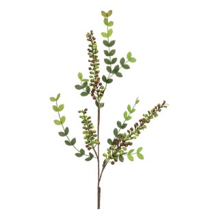 Variegated Red Berry Foliage Spray (Set of 6) For Sale