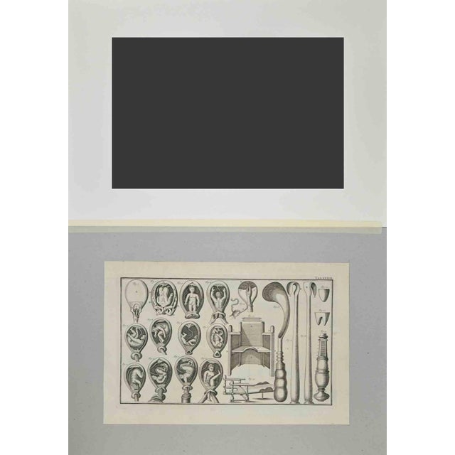 Surgical instruments s part of the suite realized by lorenz heister in the series of institutiones chirurgicae, amsterdam,...