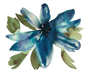 "Anemone No. 8" Contemporary Original Botanical Flower Watercolor Painting by Elizabeth Becker