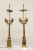Neoclassical Vintage Neoclassical Bronze Candelabra Lamps - A Pair For Sale - Image 3 of 13
