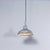 Industrial Grey Enamelled Pendant Lamp from Benjamin, 1950s For Sale - Image 11 of 11