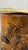 Rare 1893 Martin Brothers London & Southall Pottery Pitcher Wally Birds For Sale - Image 16 of 17
