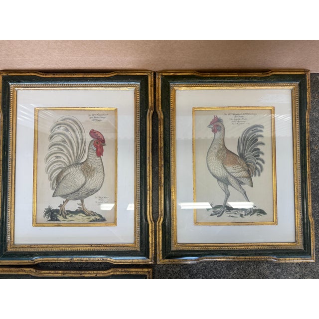 Black Antique Colored Rooster Prints in Trowbridge Frames - Set of 4 For Sale - Image 8 of 12