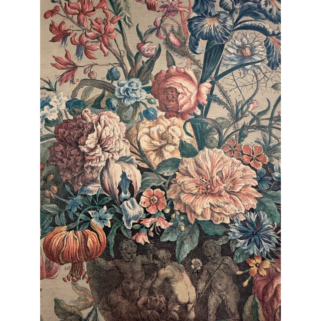 Late 18th Century English Botanical Print For Sale - Image 5 of 5