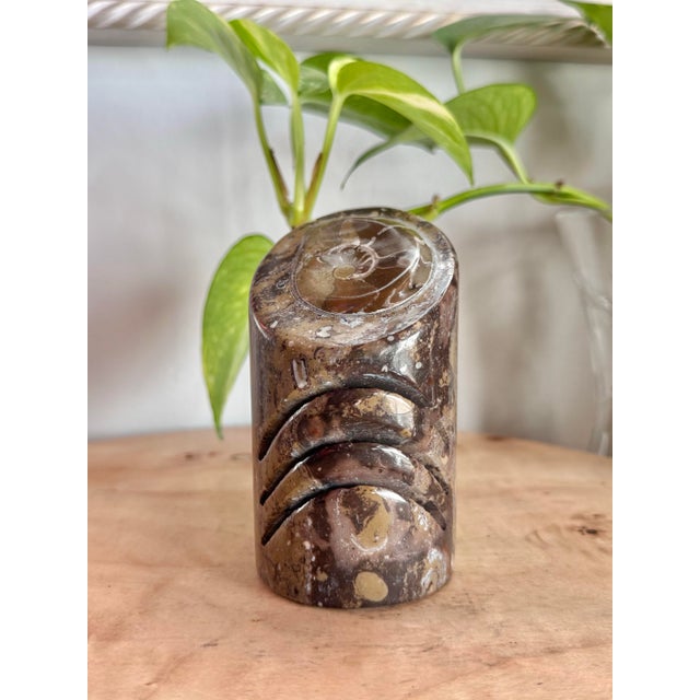 Mid 20th Century Polished Ammonite Fossil Card Holder For Sale - Image 9 of 11