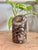 Mid 20th Century Polished Ammonite Fossil Card Holder For Sale - Image 9 of 11