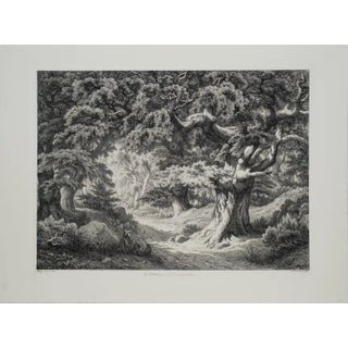 1990s Eugene Blery 'Le Charlemagne (Foret de Fontainblue)' Romanticism Gray France Etching For Sale