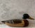 Vintage hand carved and painted wooden duck decoy. Signed on the bottom "To Joleine From Grandma & Grandpa Kinsey Xmas 1969"