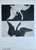 Hilma Af Klint, The Swan. No. 1, 1915, Print For Sale - Image 9 of 9
