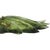 Forest Green Floral Murano Glass Wall Sconces in Green, 2000, Set of 2 For Sale - Image 8 of 11