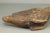 Antique Transylvania Carved Figure of a Bird - Pigeon For Sale - Image 18 of 18