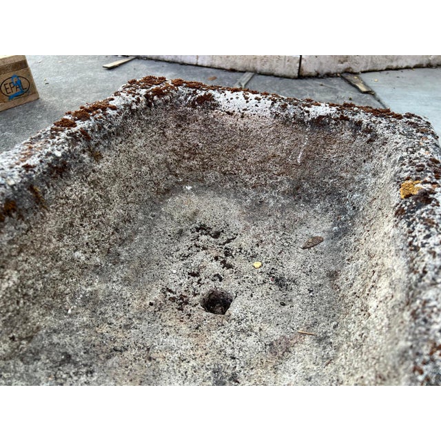 19th Century Diminutive Antique French Hand Carved Stone Trough Planter From Provence For Sale - Image 5 of 8