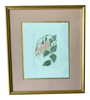 1988 “Tushia” Botanical Etching by Shirley Hiner, Framed
