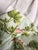 Vintage Botanical Fabric by the Yard : Williamsburg Interpretation by Schumacher Fabrics For Sale In Los Angeles - Image 6 of 8