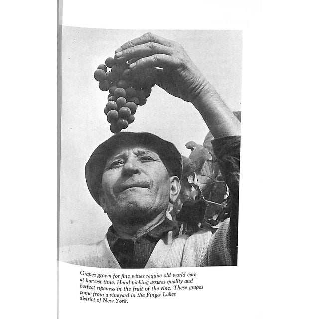 White "The American Guide to Wines" 1963 Church, Ruth Ellen For Sale - Image 8 of 11