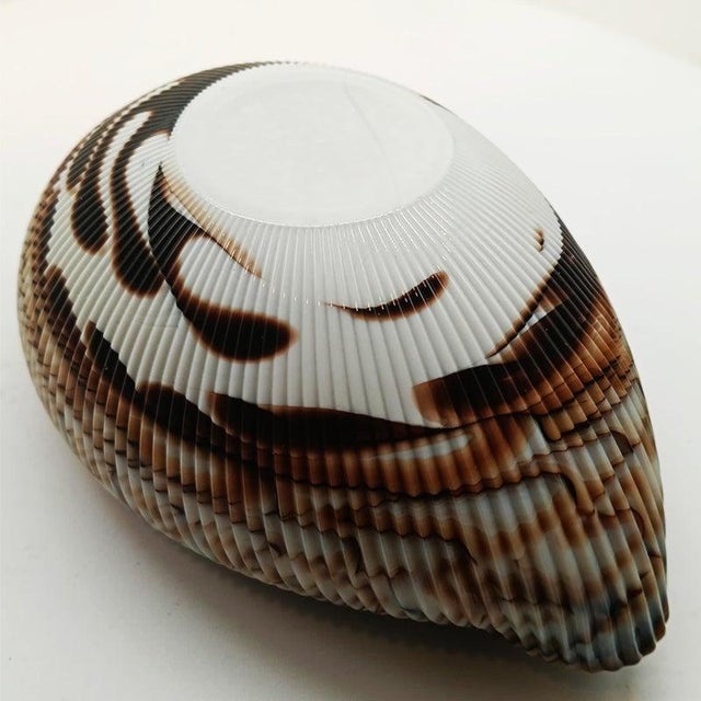 Vintage Italian Shell Ashtray in Murano Art Glass, 1960s For Sale - Image 4 of 14
