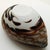 Vintage Italian Shell Ashtray in Murano Art Glass, 1960s For Sale - Image 4 of 14