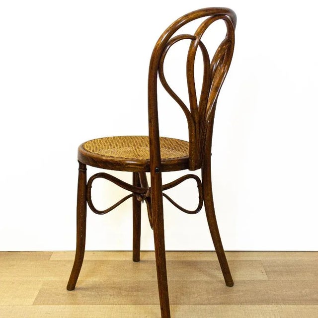 Antique Spanish Bentwood Chair in Oak by Ventura Feliu, 1890s, Set of 4 For Sale - Image 4 of 9