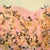 Strawberry Fields Organic Modern Collage For Sale