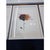 Framed Organic Modern Original Flower Painting by Diane Grant / Neutral Palette Tones For Sale - Image 4 of 5