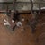 Large Copper Pot For Sale - Image 9 of 10