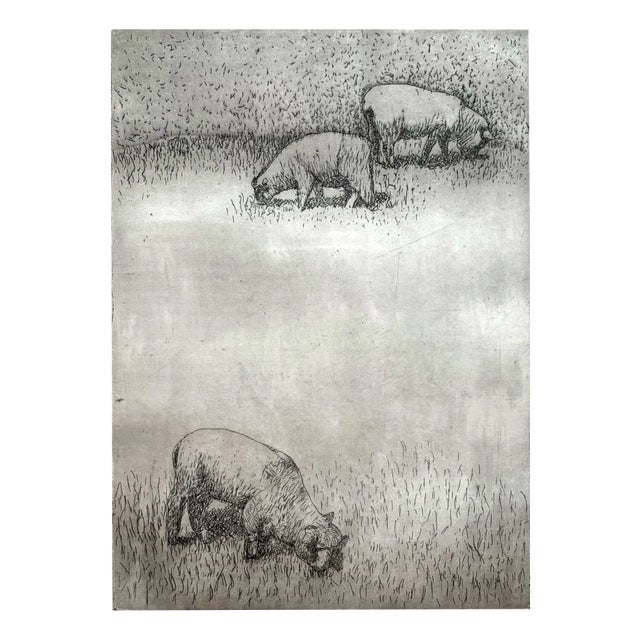 Krystyna Jaszke, Dolly (Sheep), Etching on Paper, 2002 For Sale