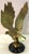 Sculpted at 10.5" and realistically cast at full-wingspan, this spectacular Mid-Century symbolic raptor embodies the most...