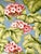 2010s Discontinued Bloomcraft Floral Screen Print Fabric — 4 Yards in Sky Blue & Pink Geranium Pattern For Sale - Image 5 of 9