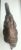 Vintage Mid Century Leather Wrapped Elephant Figure For Sale - Image 12 of 12