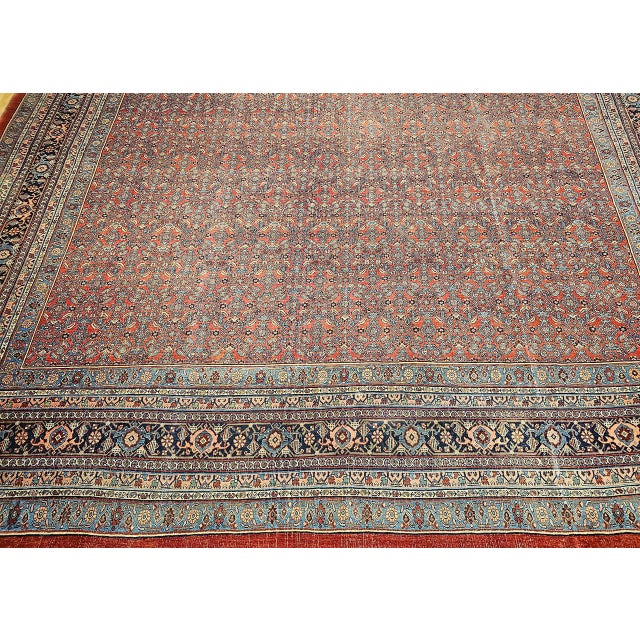 Early 20th Century Bidjar Rug For Sale - Image 11 of 18