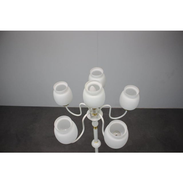 Mid-Century Floor Lamp attributed to Drukov Brno, Former Czechoslovakia, 1970s For Sale - Image 3 of 11