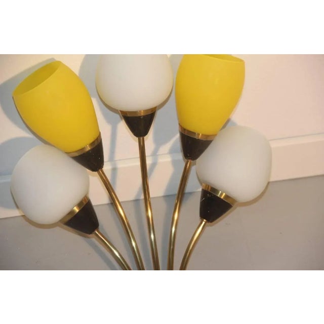 Metal Large Italian Sconce in Brass & Glass, 1950s For Sale - Image 7 of 9