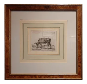 Van Troostwijk, Grazing Cow, 1810, Paper, Framed