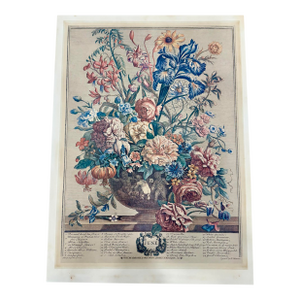 English Botanical Print